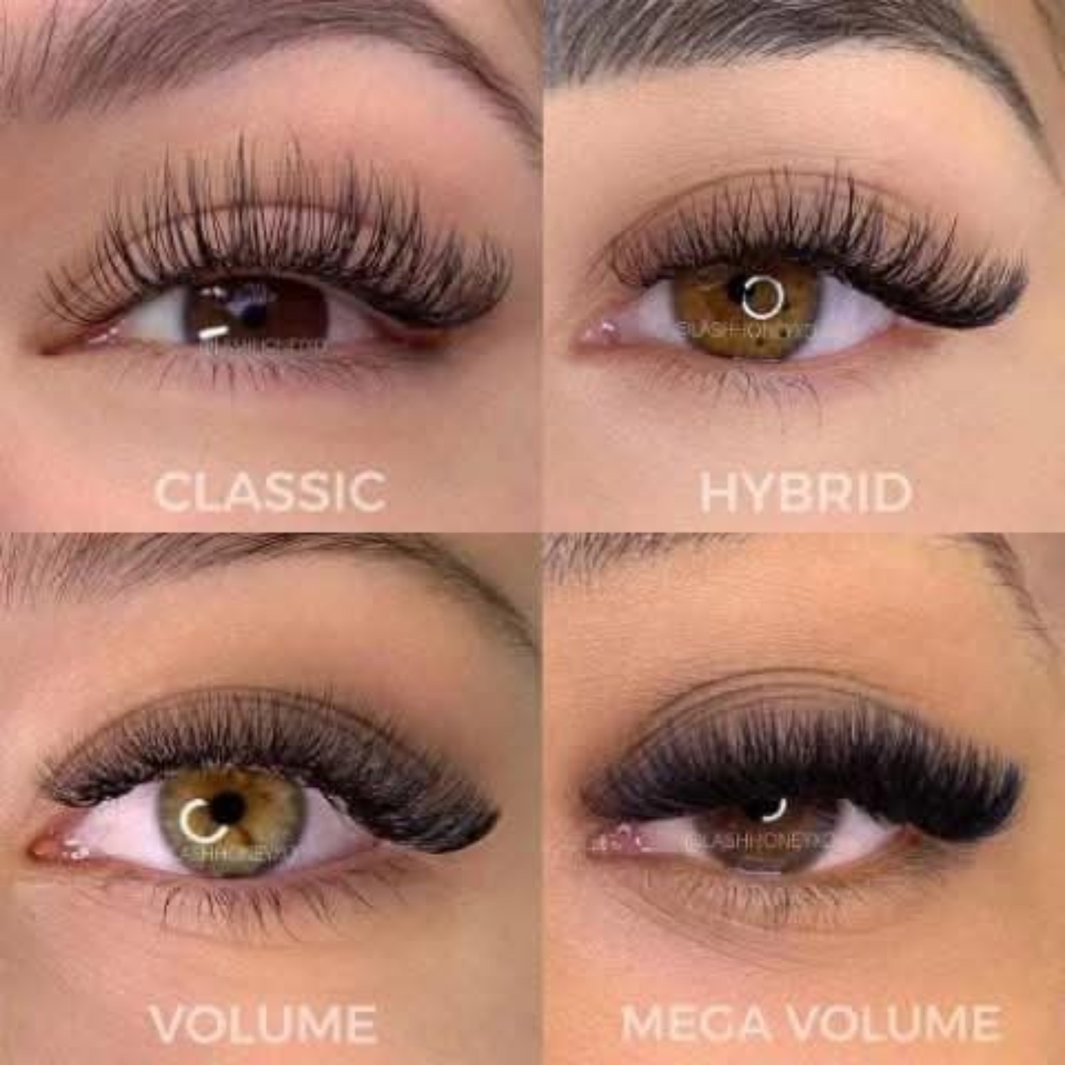 Lash extension style board showing Classic, Hybrid, Volume, and Mega Volume examples